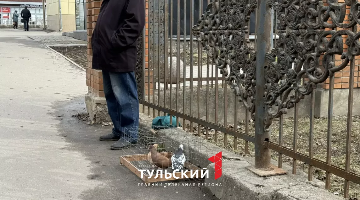 В Туле рассказали о традиции отпускать птиц на Благовещение