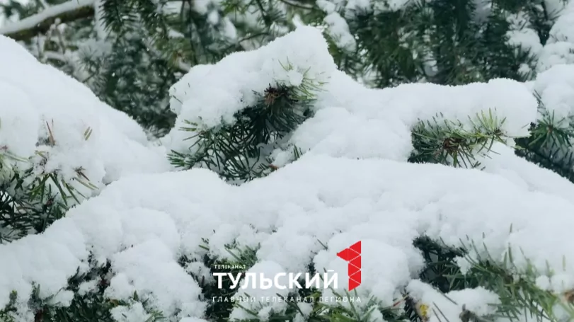 Тульскую область накрыл сильный снегопад и метель 10 апреля