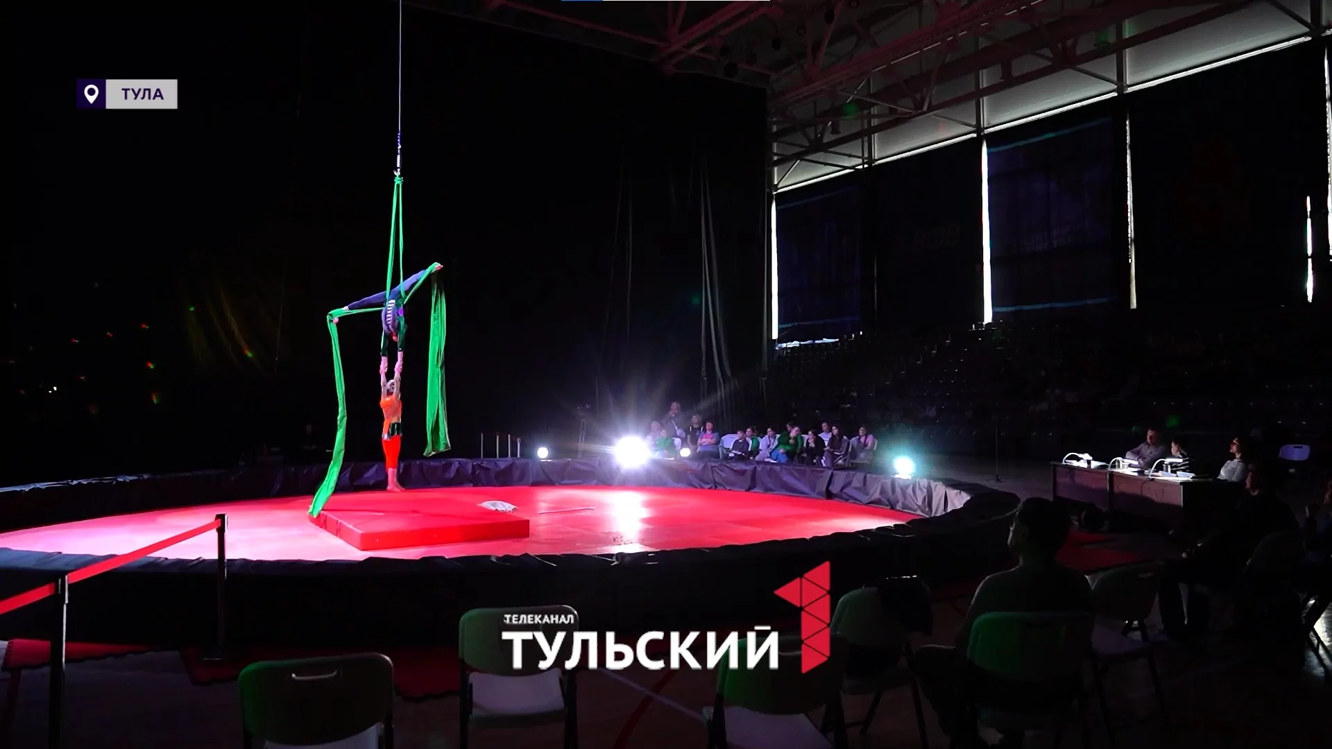 В Туле кота Базилио и лису Алису запустили под купол цирка
