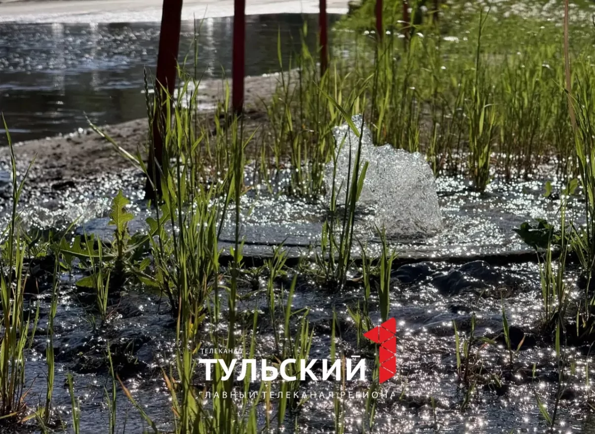 На улице Сойфера в Туле заметили море
