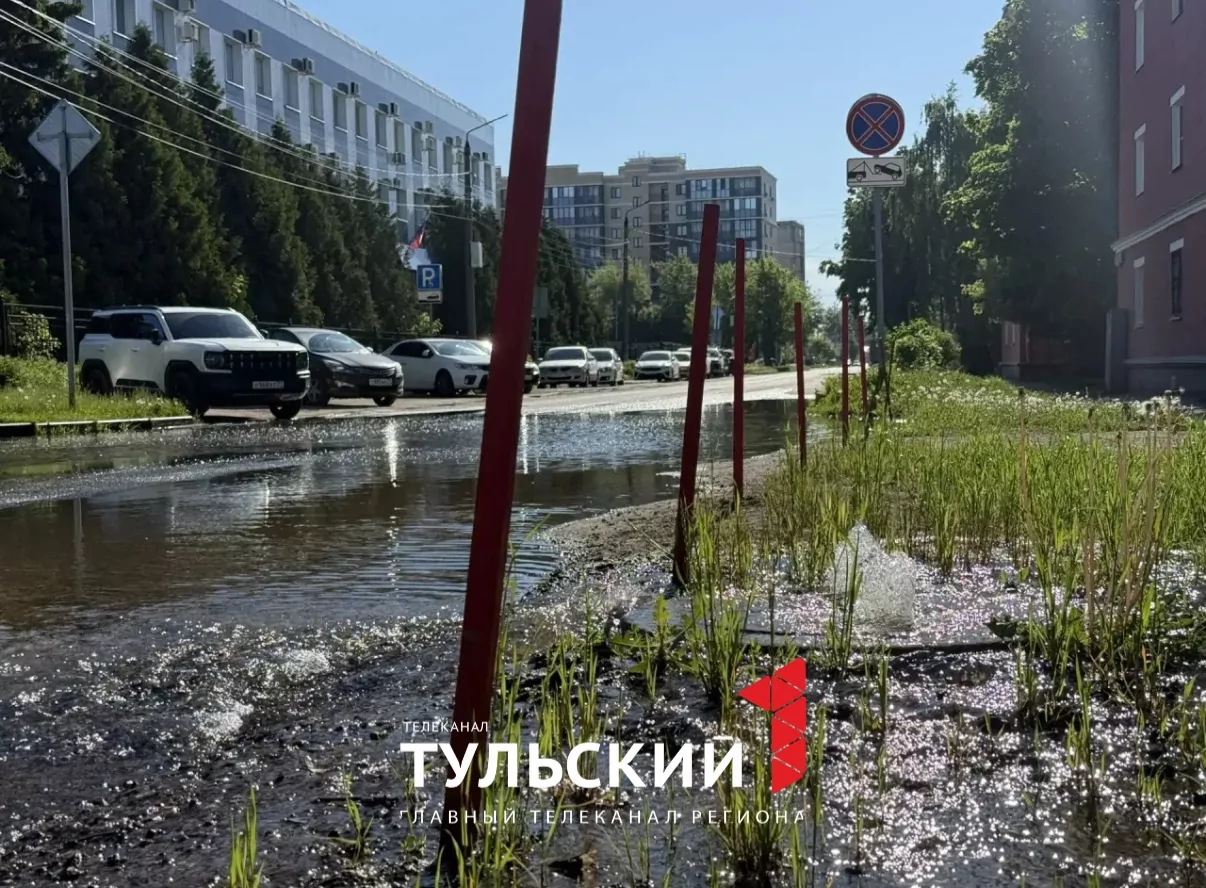 На улице Сойфера в Туле заметили море