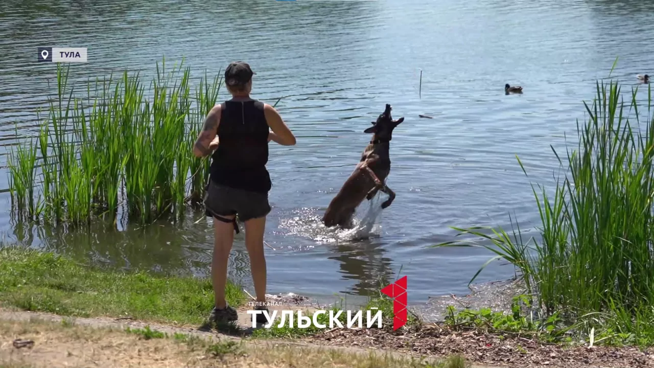 Врач скорой помощи объяснил влияние жары на сосуды человека