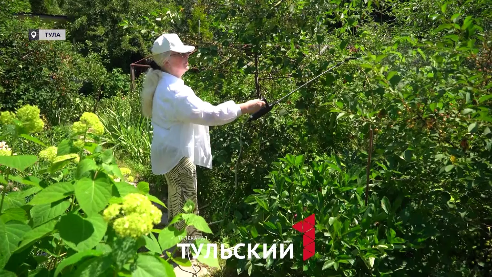Опытный садовод назвала худшее сочетание растений на участке