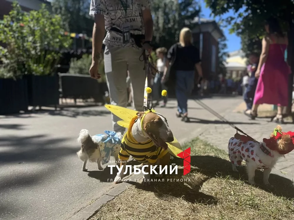 В Туле прошел показ пушистых модников "Гав-кутюр"