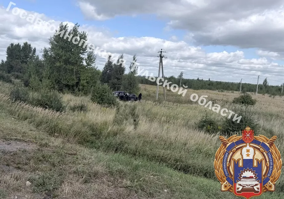 Под Тулой в аварии пострадала 24-летняя девушка