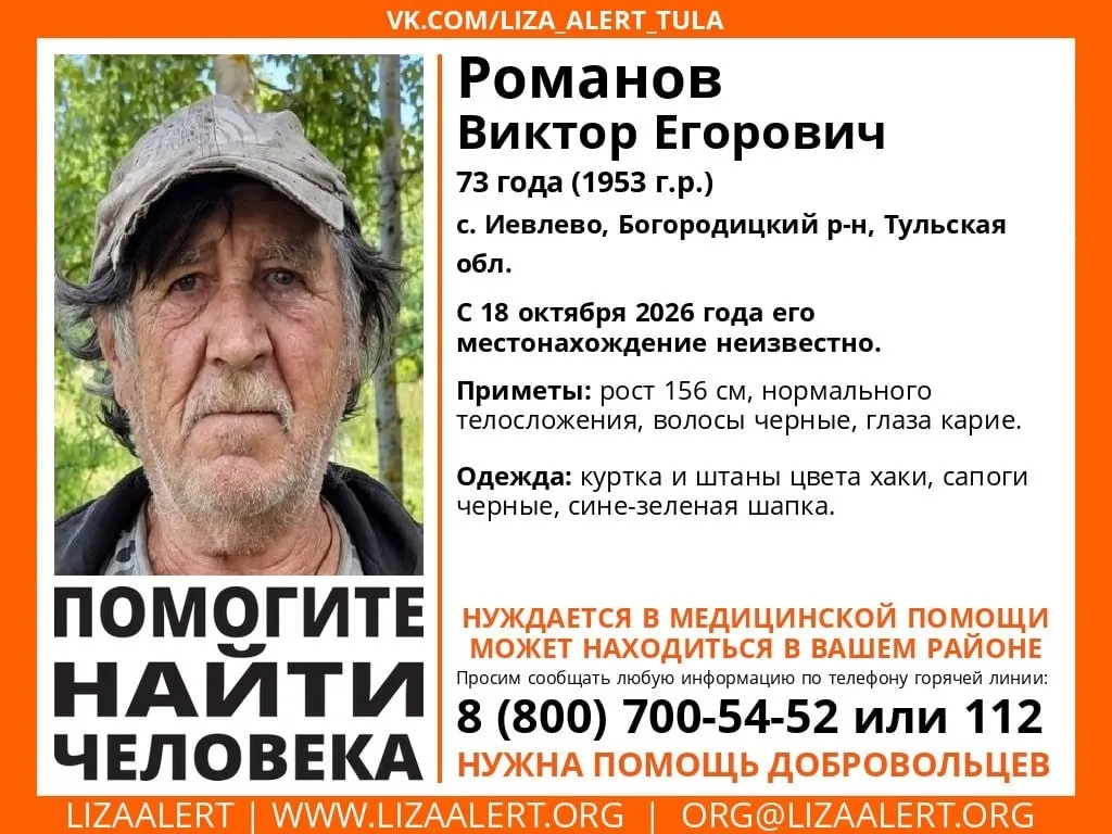 Под Богородицком пропал 73-летний дедушка