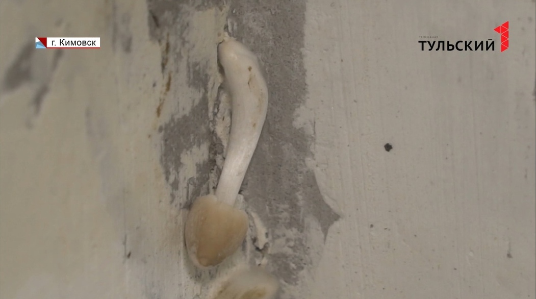 В Кимовске в пятиэтажке из-за сырости в квартирах растут грибы
