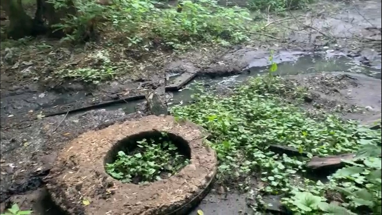 Экологи обнаружили в лесу под Кимовском опасный канализационный колодец