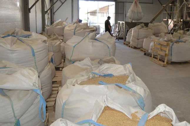 Пшеницу из Алексина начали поставлять в Грецию