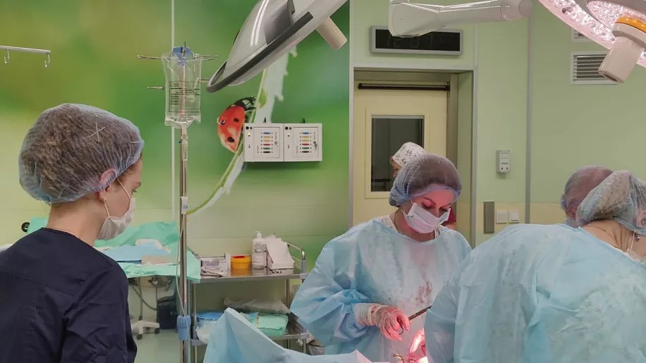 Тульские врачи удалили роженице 10-сантиметровую опухоль матки
