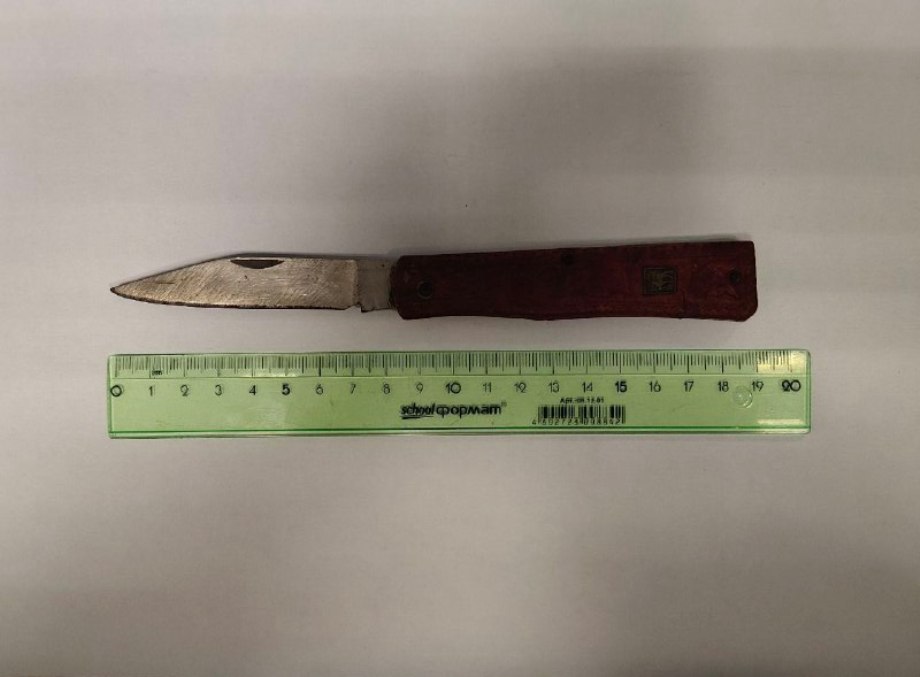 Житель Щекина попытался пронести в суд нож