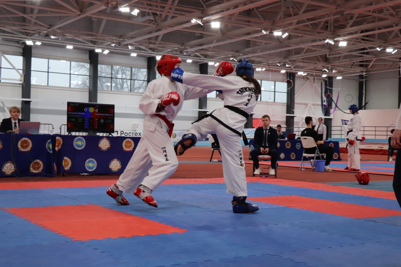 В Тулице прошёл кубок региона и фестиваль тхэквондо ИТФ