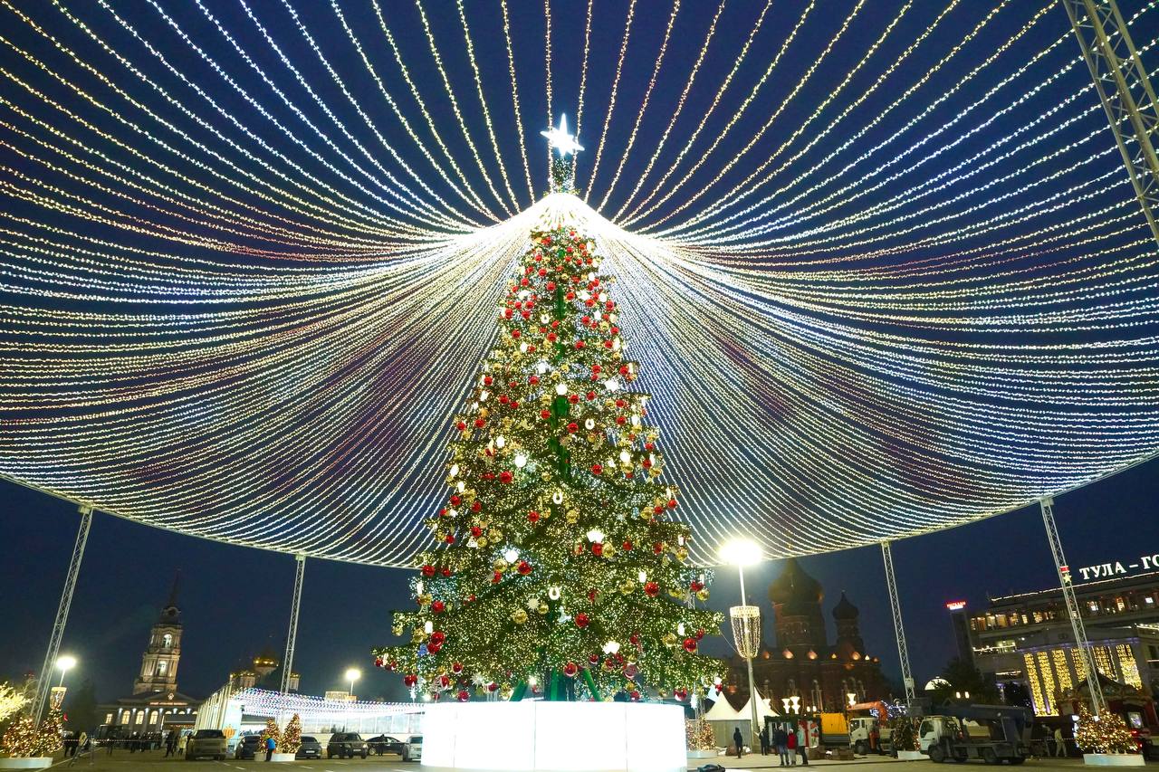Туляки могут получить подарки за селфи с елкой