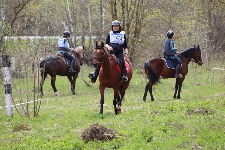 В Тульской области состоялись соревнования по конному спорту