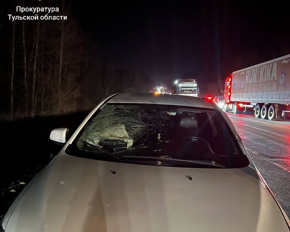 В Туле осудили армянина за смертельное ДТП на трассе М-2 "Крым"