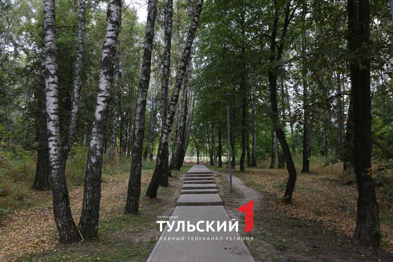 В Туле модернизируют Рогожинский парк