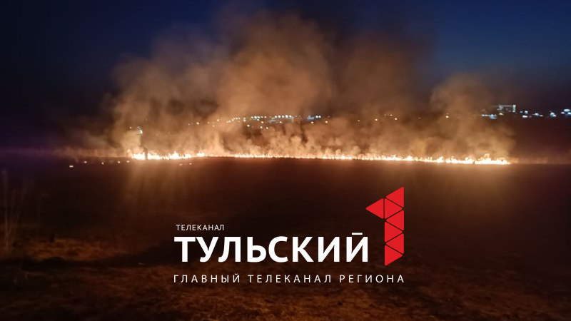 В Туле на Калужском шоссе загорелось поле