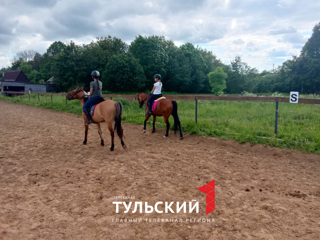 В Центральном парке Тулы пройдут соревнования по конкуру