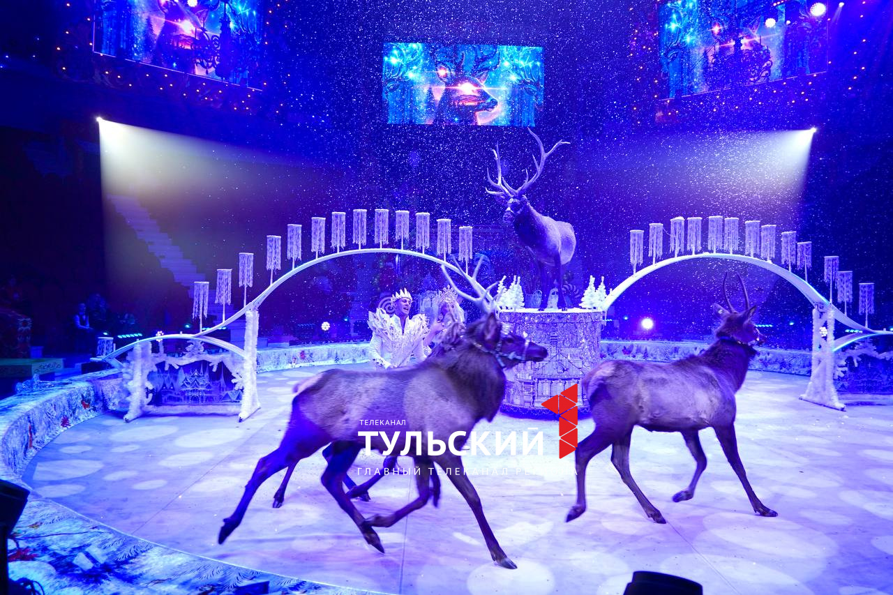 Тула на два дня стала цирковой столицей России