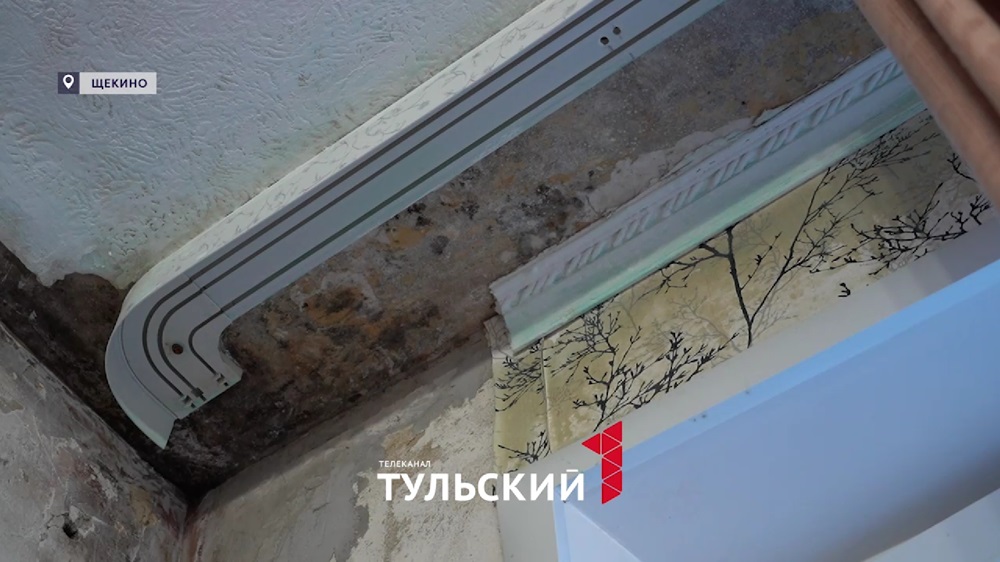 Пенсионерка из Щекина 12 лет живет с черным грибком на потолке