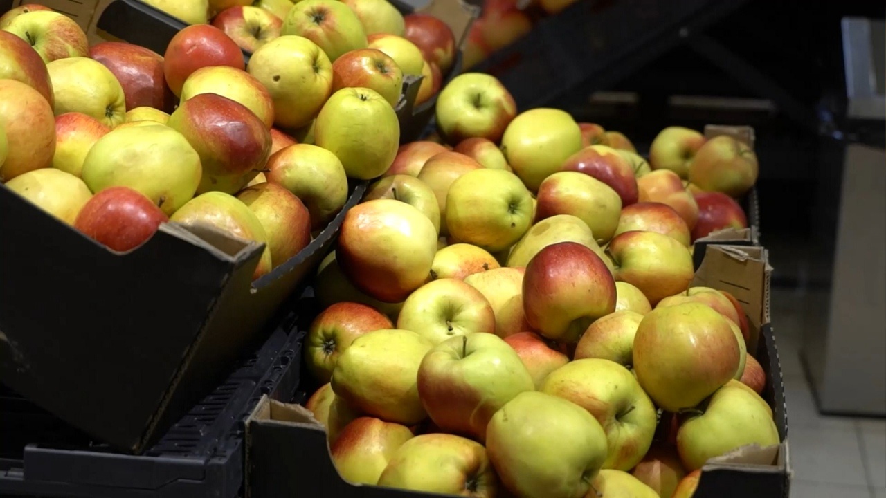 Тула может стать лидером по урожаю яблок в Центральной России