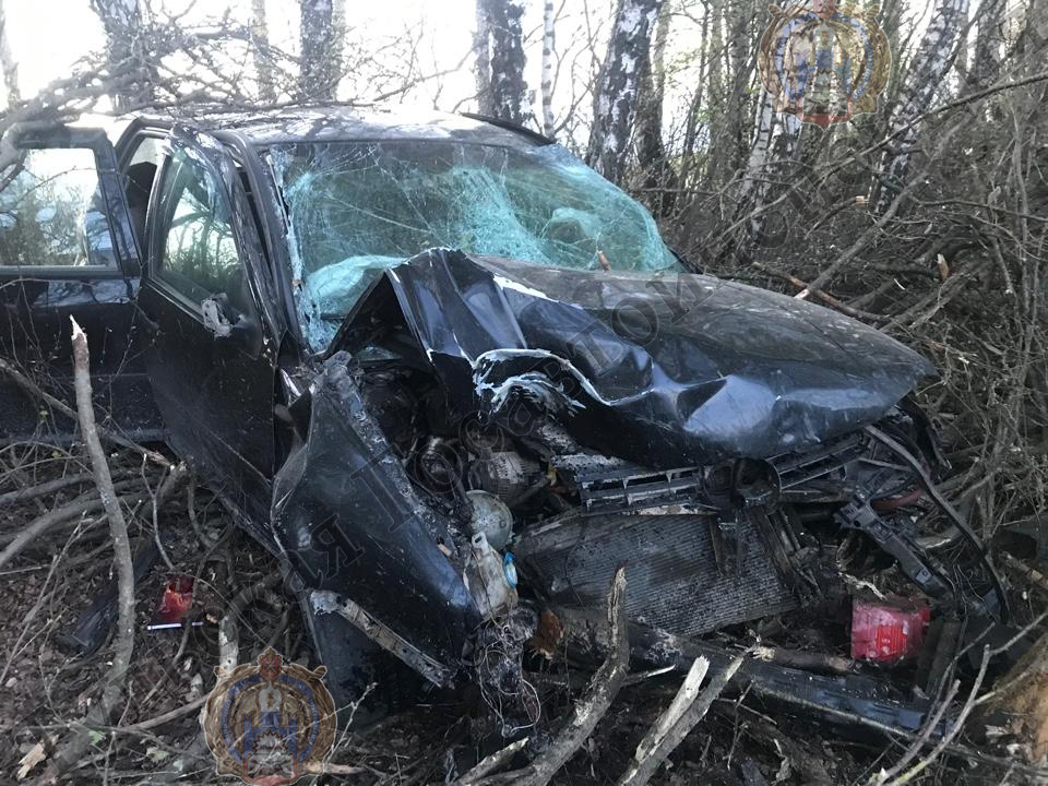 В Тульской области пьяный водитель не справился с управлением и врезался в дерево