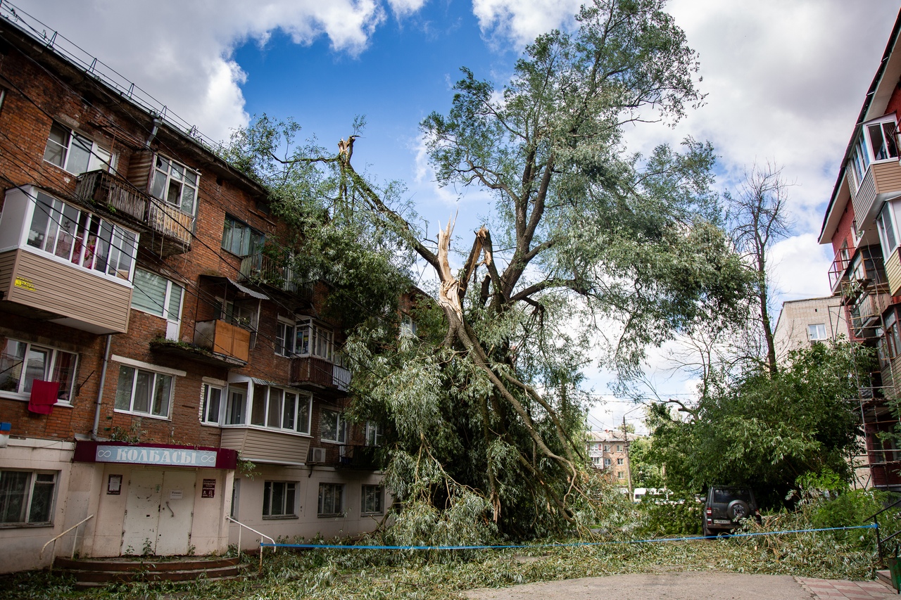 Суд взыскал с администрации Алексина больше 90 000 за падение дерева на автомобиль