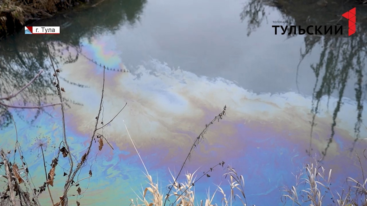 В Тульской области под экологической угрозой оказались сразу две реки