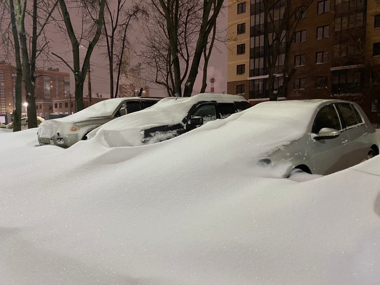 Сколько снега в Тульскую область принесла «Черная метель»