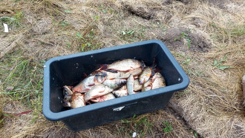 На Щекинском водохранилище поймали двух браконьеров
