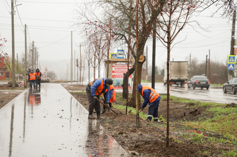 Вдоль веломаршрута "Лев Толстой" в Туле высадили 100 деревьев