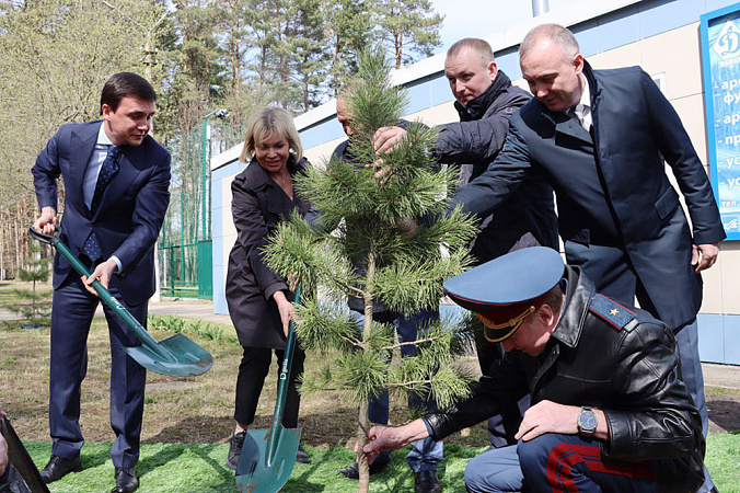 В Туле в честь 100-летия спортивного общества «Динамо» высадили кедр