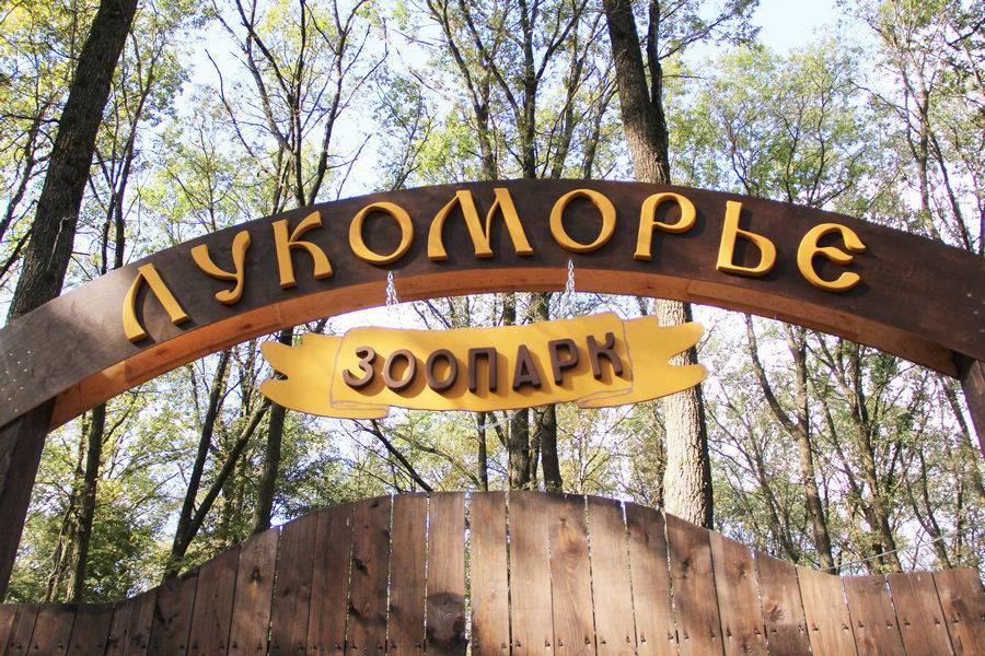 Зоопарк «Лукоморье» в Новомосковске работал без лицензии