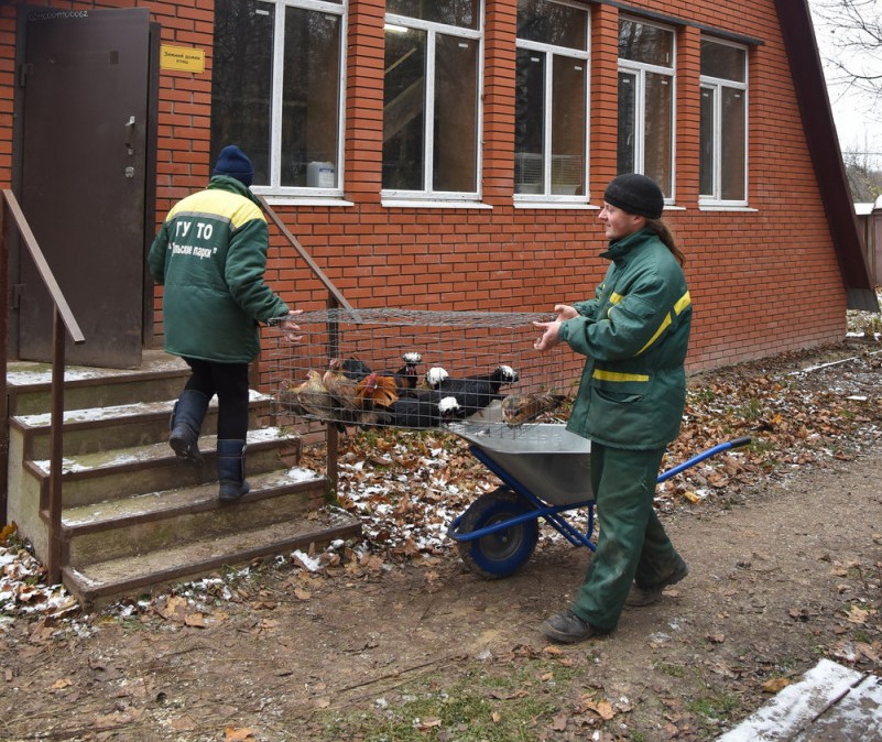 В тульском зооуголке животным сделали отапливаемые вольеры