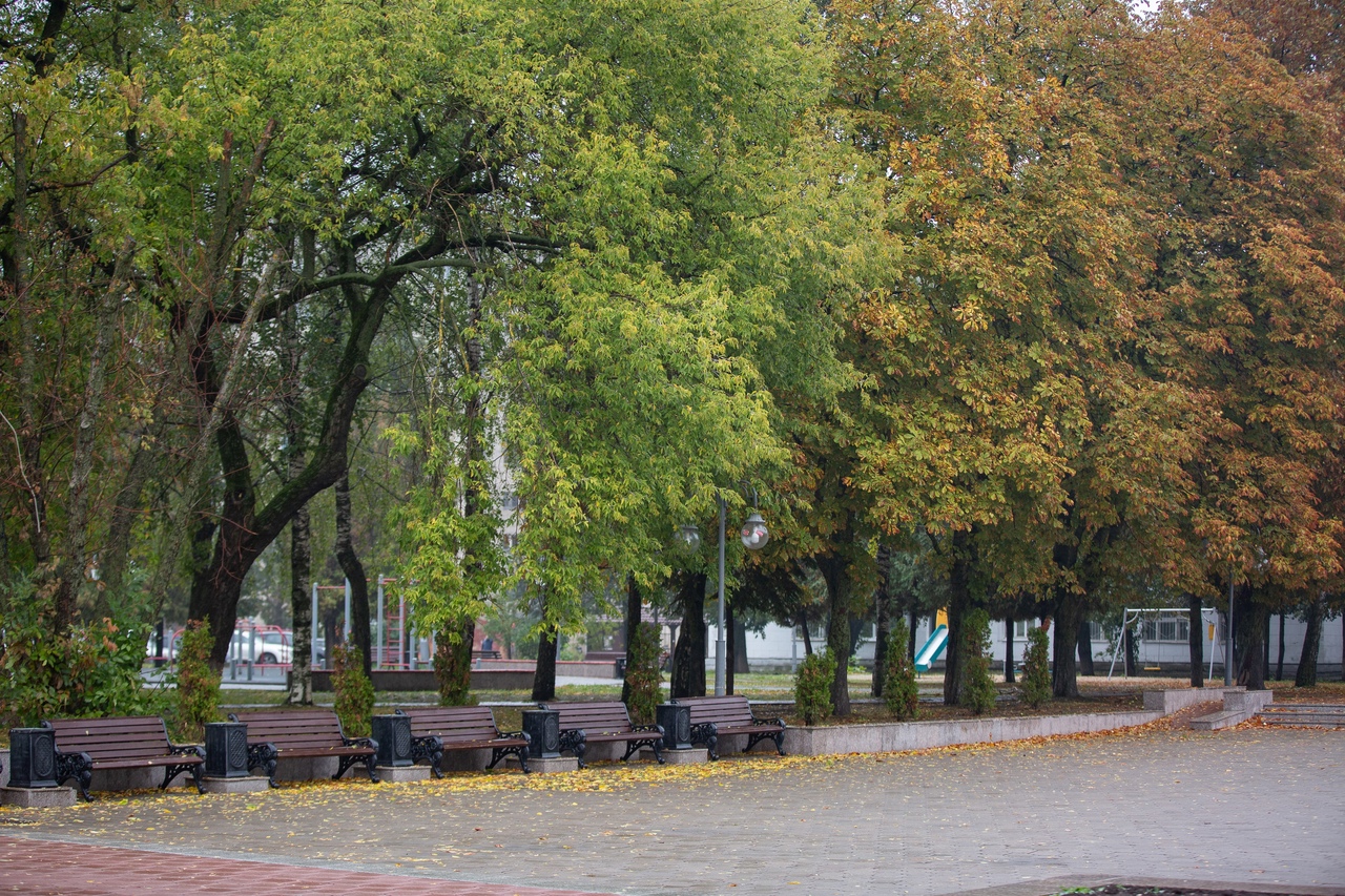 Погода в теплом тульской