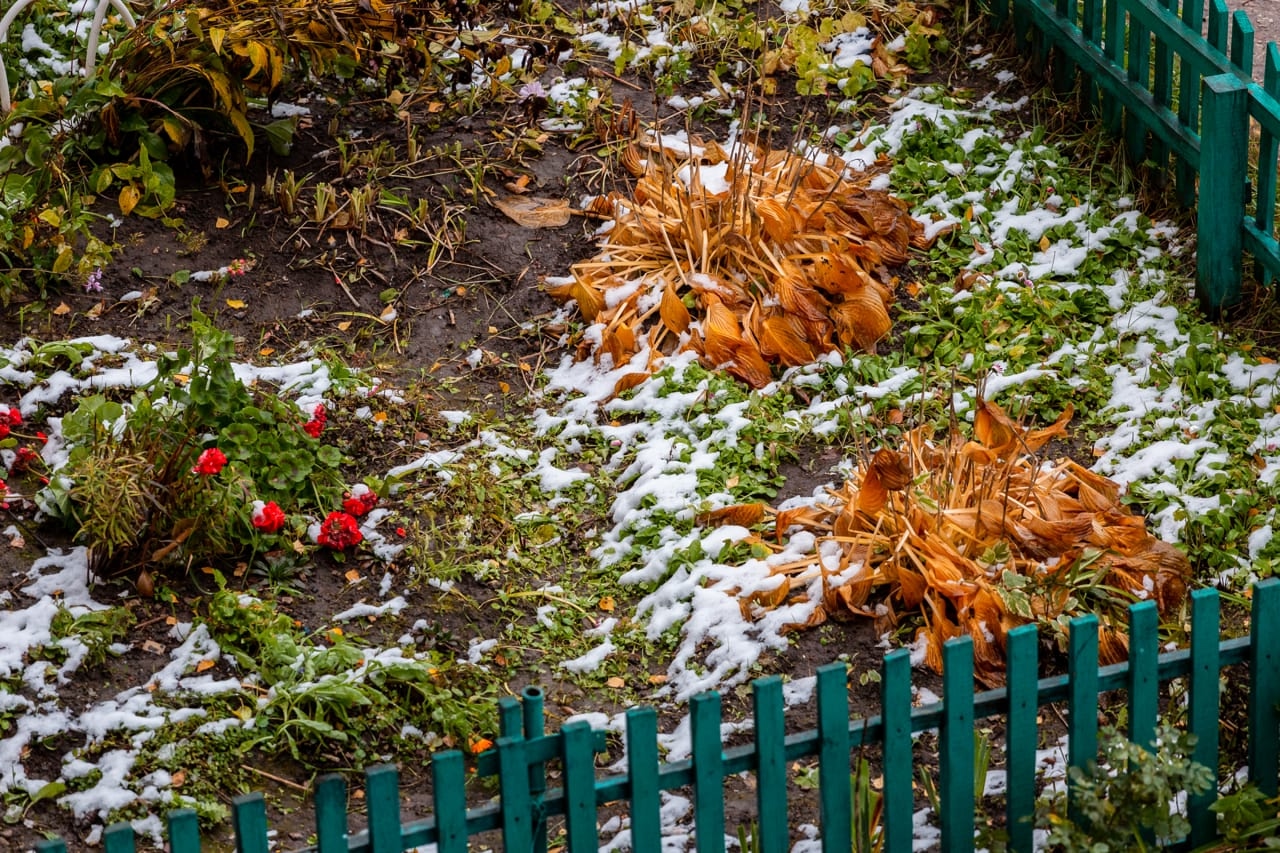 Ночью в Туле ожидается повышенное давление