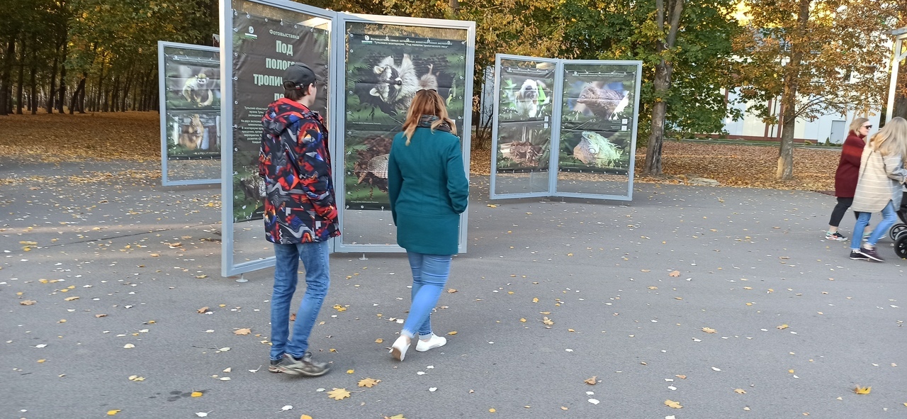 В Туле открылась фотовыставка экзотических животных «Под пологом тропического леса»