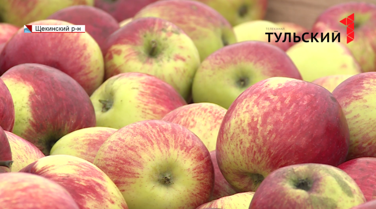 В Большой Туле мужчина пытался украсть из чужого сада 225 килограммов яблок
