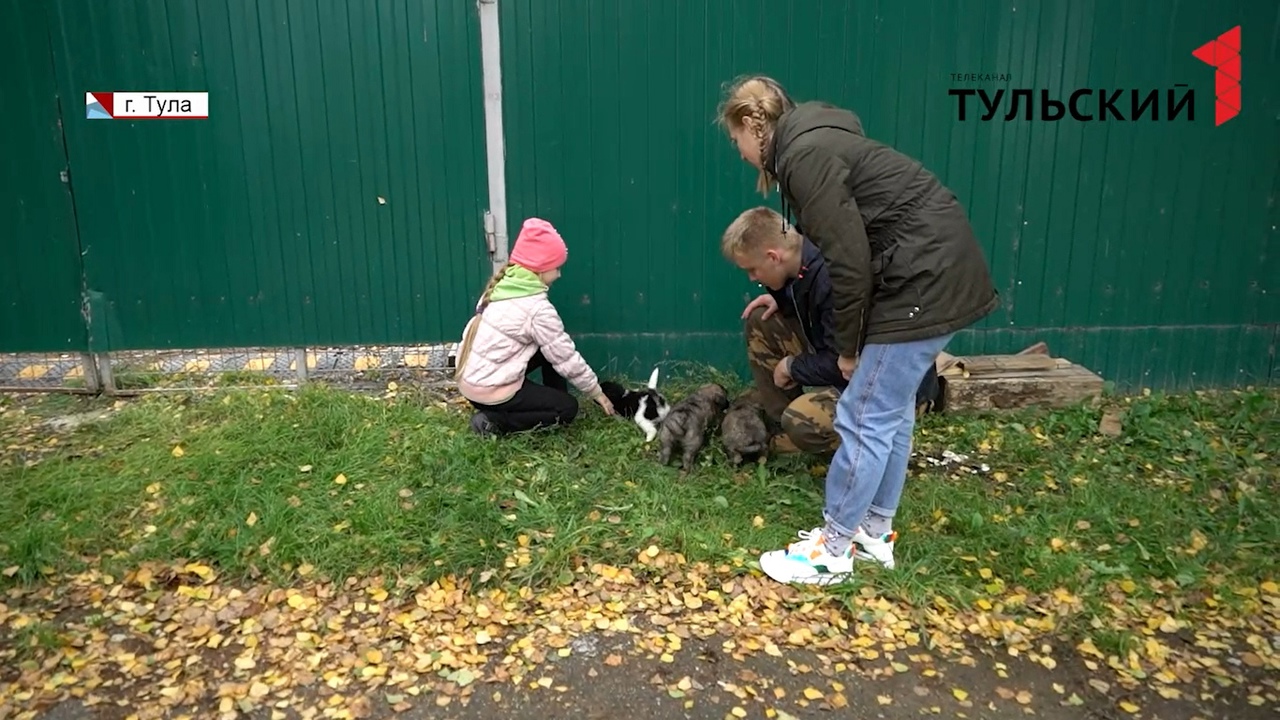 В Туле для школьников провели урок добра и отзывчивости в приюте для бездомных животных