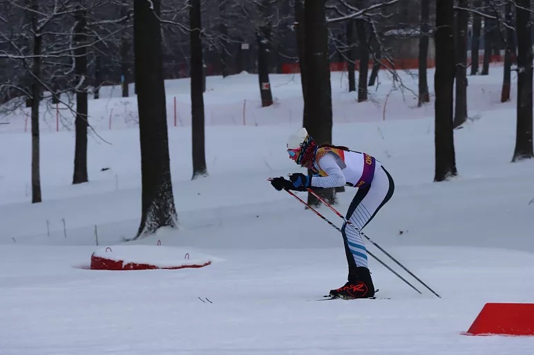 В чемпионате и первенстве Тульской области по лыжным гонкам приняли участие около 200 спортсменов
