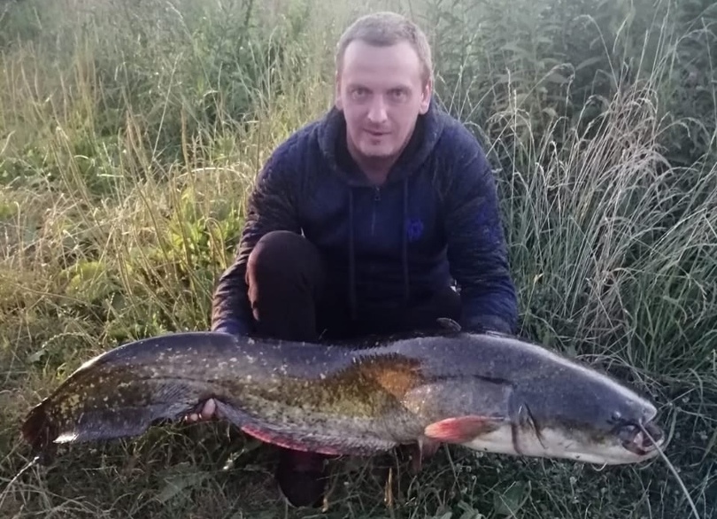В Тульской области рыбак поймал сома весом больше 17 килограммов