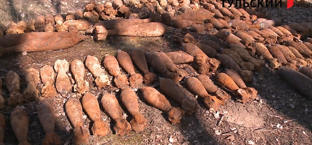 В Тульской области нашли и обезвредили 173 боеприпаса