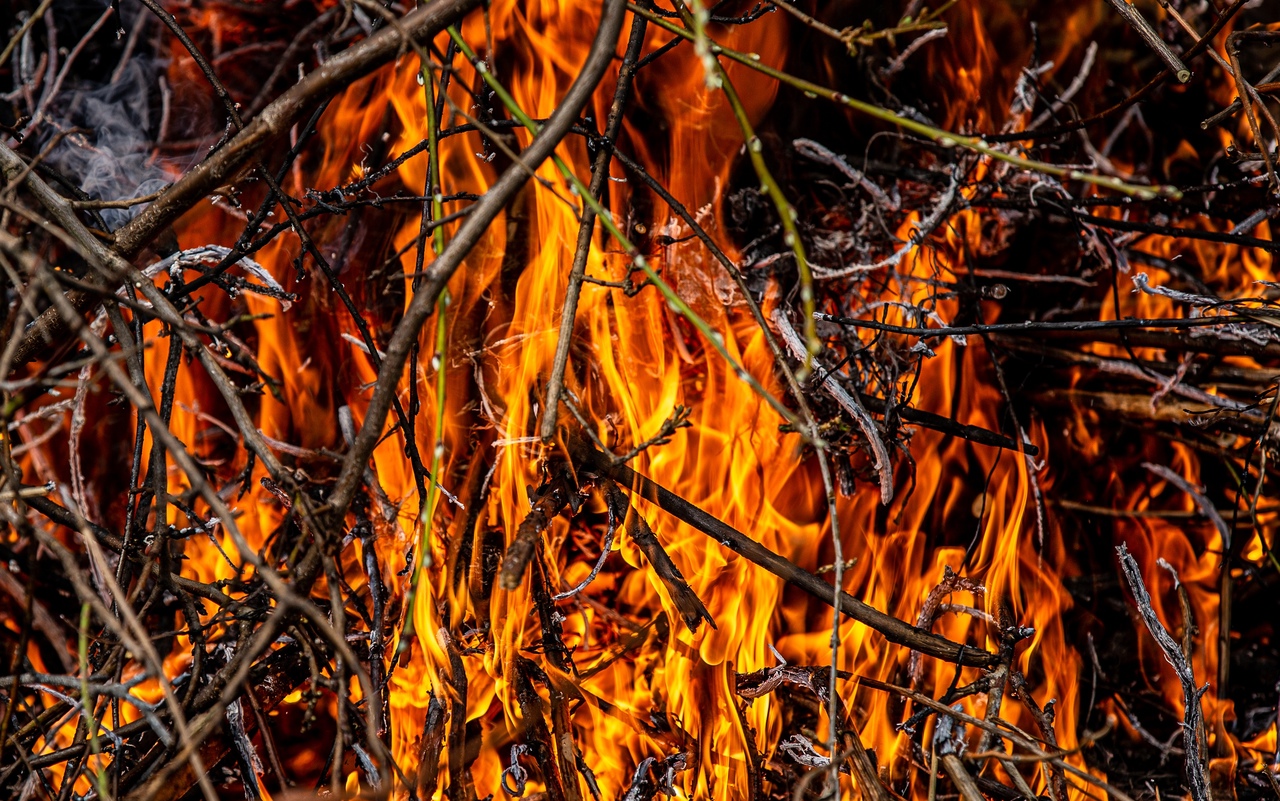 На майских праздниках в Тульской области произошло около сотни пожаров
