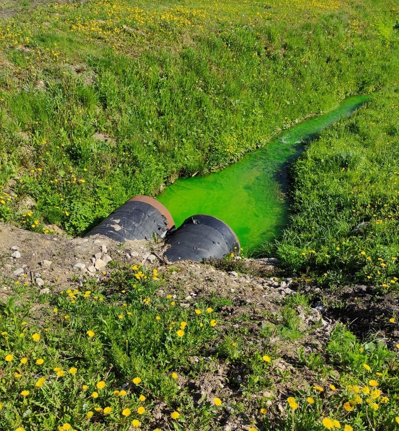 В Туле обнаружили ярко-зеленый ручей