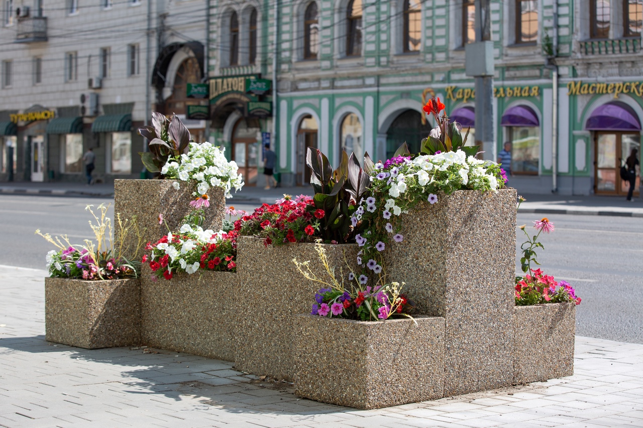 В Туле администрация потратит более 11 миллионов рублей на цветы для клумб