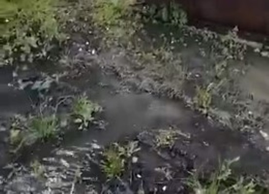 В Новомосковске несколько дачных участков затопило канализационной водой