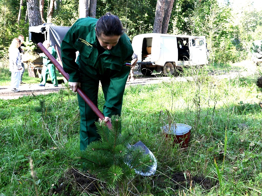 В рамках Нацпроекта «Экология» в Тульской области стартовала акция «Сохраним лес»