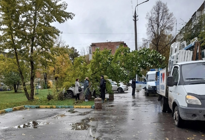 Тула упал. Упавшее дерево в городе. Город рушится. Упало дерево на Руднева Тула. Упало дерево сегодня на.