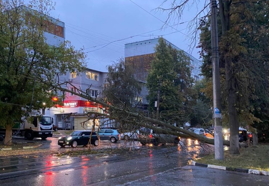 На улице Н. Руднева в Туле упавшее дерево перекрыло дорогу