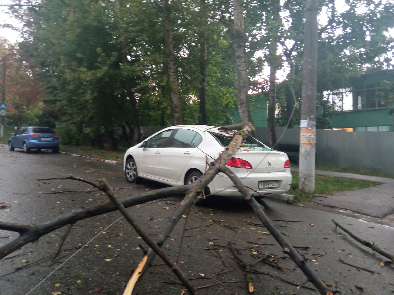 Упавшие деревья и залитые дороги: в соцсетях появились сообщения о последствиях дождя в Туле